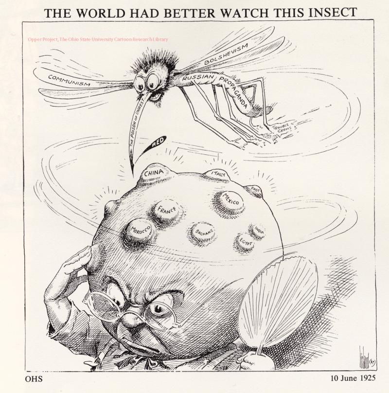 The World Had Better Watch This Insect The World Had Better Watch This Insect